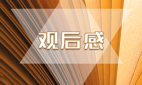 2024抗美援朝战争剧跨过鸭绿江观后感