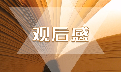 《长征》小学生观后感精选5篇2024
