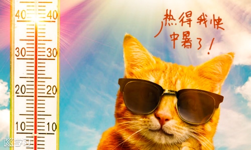 2024适合天气热发朋友圈的文案句子140句